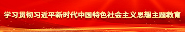 大鸡巴草小骚逼欧美视频学习贯彻习近平新时代中国特色社会主义思想主题教育